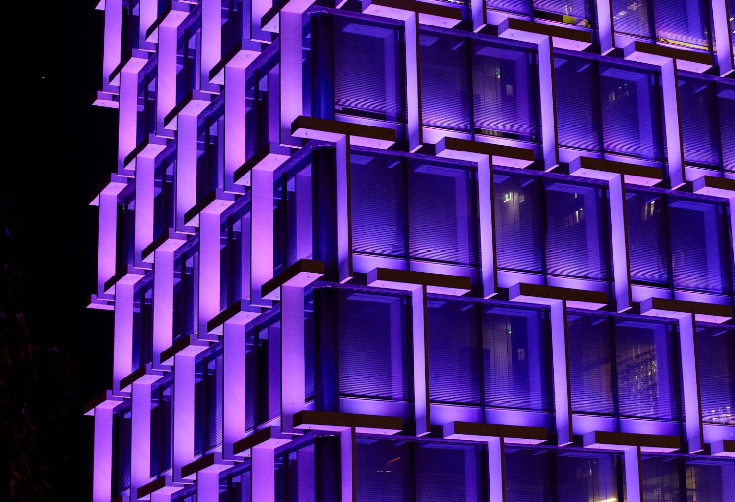 Council House Purple LEDs