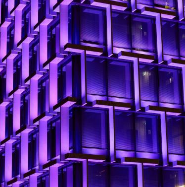 Council House Purple LEDs