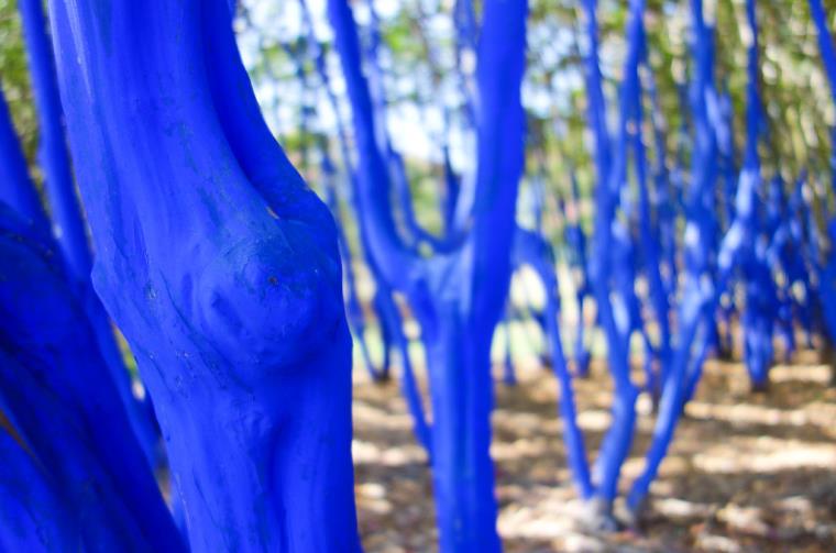 Trees painted blue