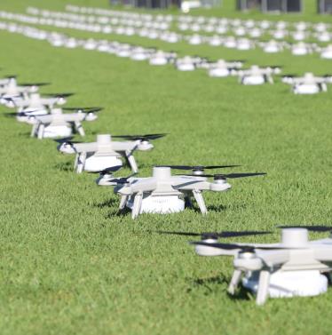 300 drones on grass 