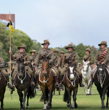 Light Horse Regiment