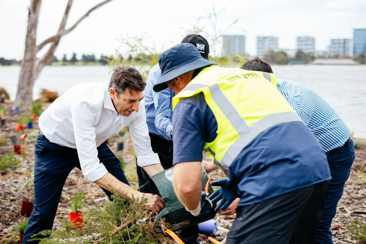 Lord Mayor and City of Perth staff planting trees at the Trinity foreshore