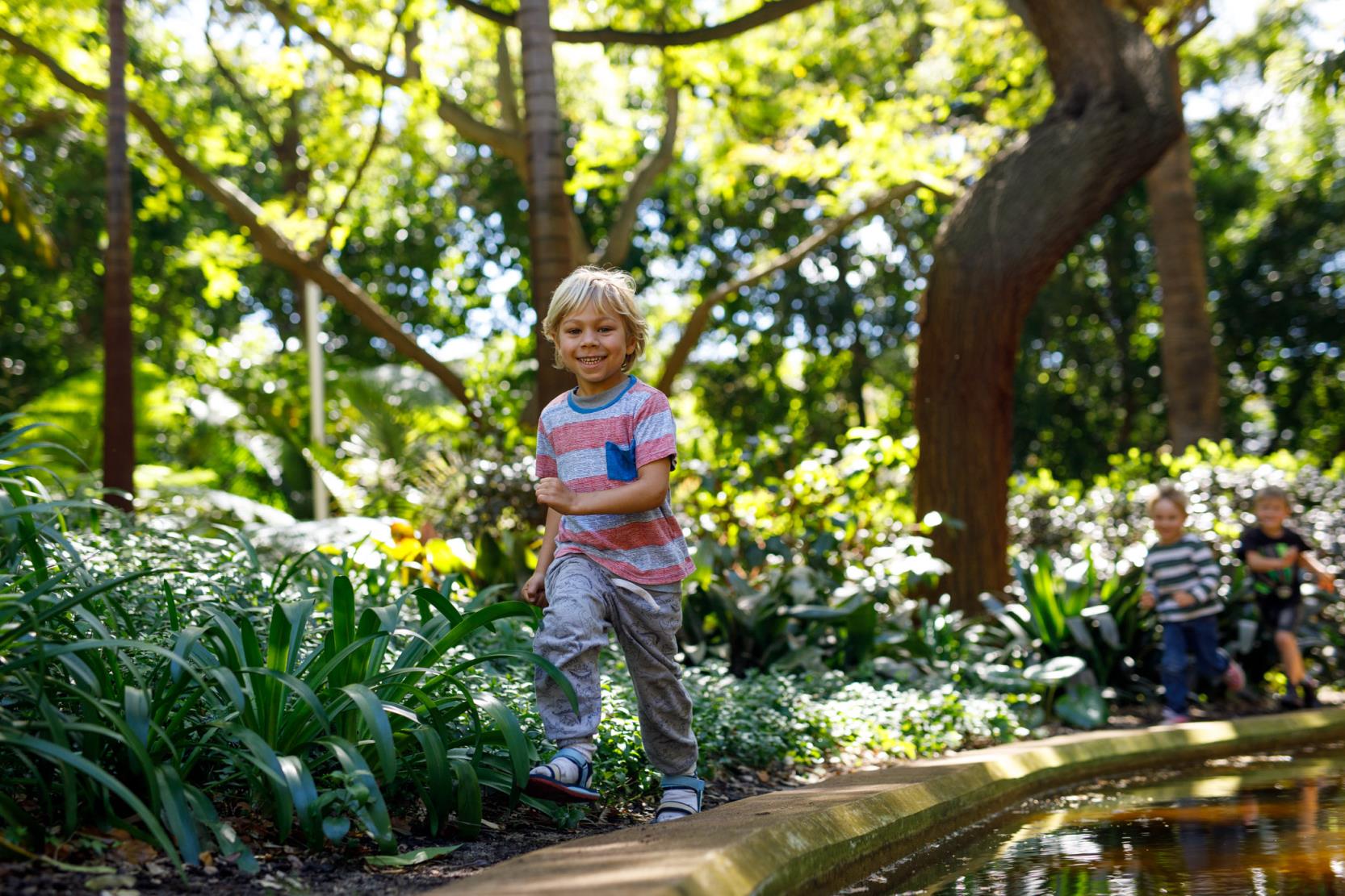 Little boy runs through green park
