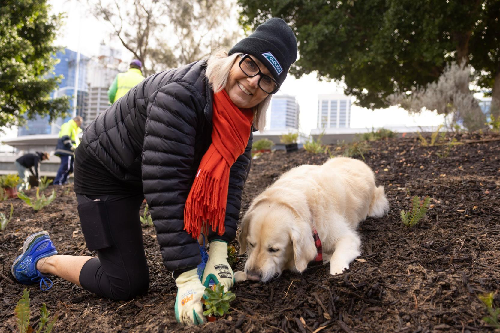 Woman and cute dog at a tree planting event near the Narrows interchange