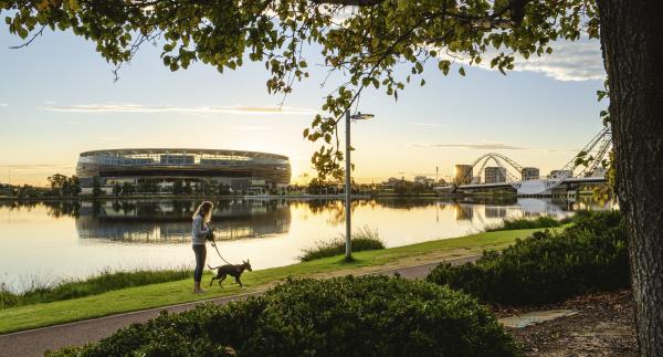 Optus Stadium in background, Arden st reserve in foreground with a woman walking her dog along the path