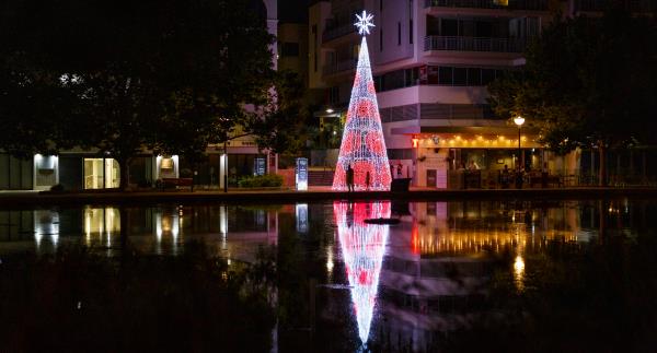 Nighttime at Claisebrook Lake with lit up Christmas Tree in background