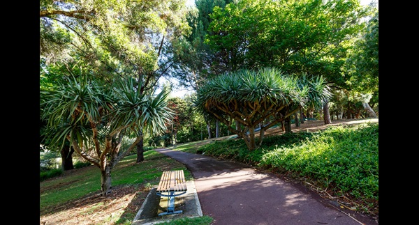 Image of pathway, bench and trees in John Oldham. 