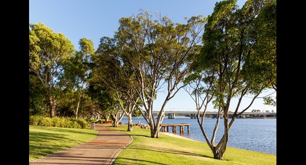 Picture of Mardalup Park footpath with trees and Swan River in background