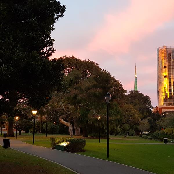 Stirling Gardens at sunrise with the Ritz Carlton Hotels in the background