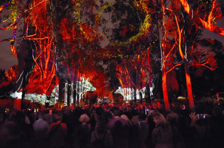 Boorna Waanginy: The Trees Speak at Kings Park as part of Perth Festival 