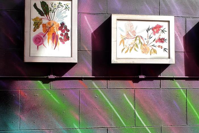 Flowers in lightboxes on wall