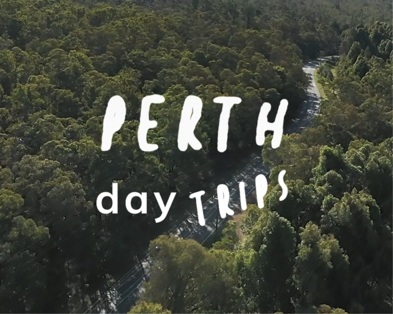 Perth Hills drone shot of a car driving through the trees