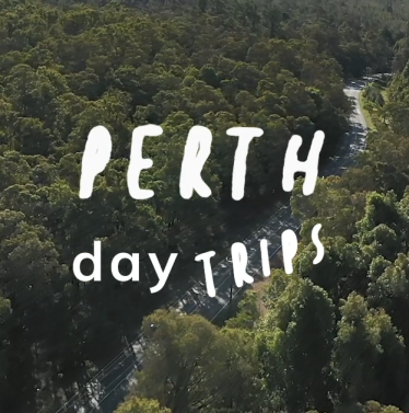 Perth Hills drone shot of a car driving through the trees