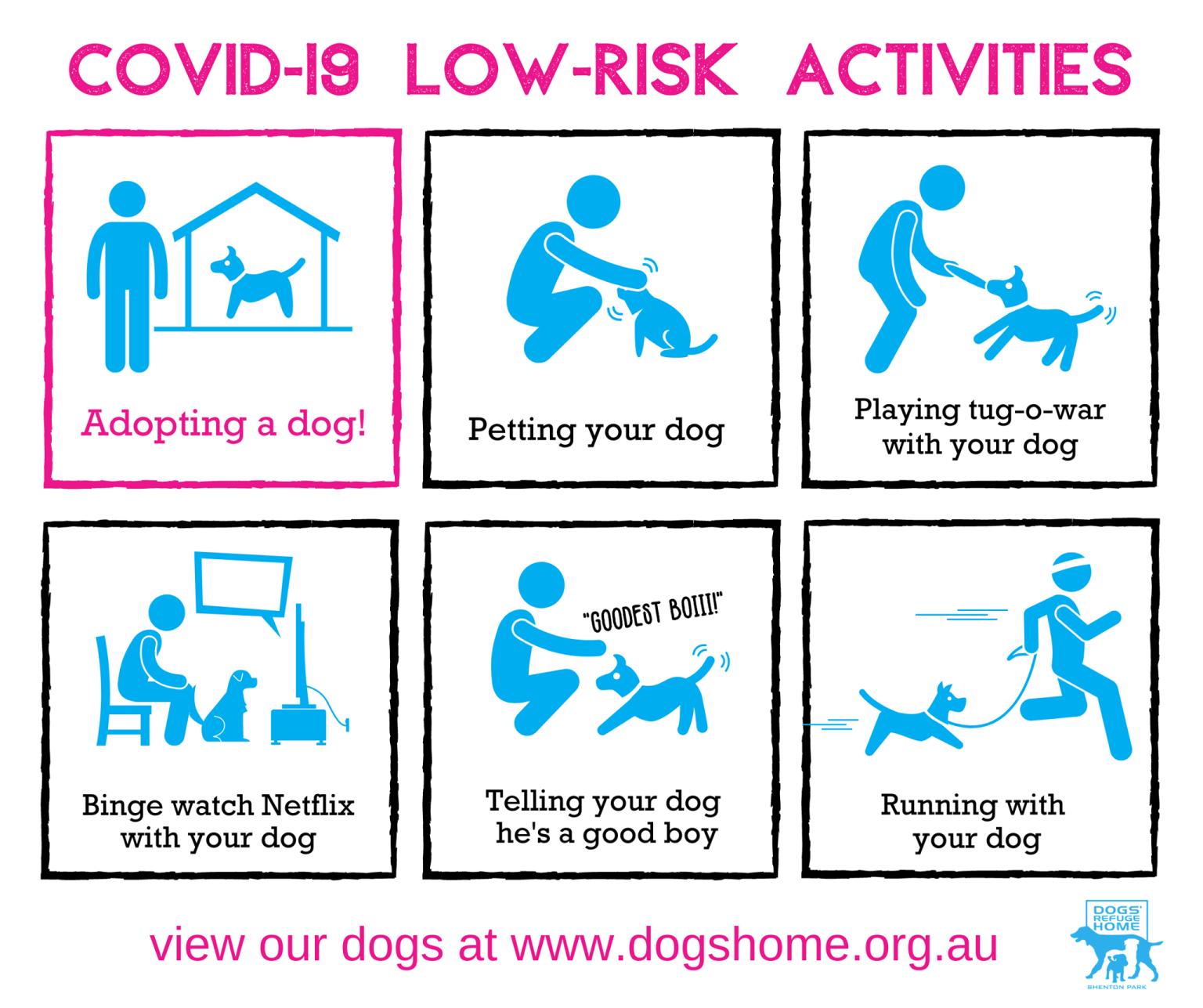 Dogs Refuge Home infographic of activities to do with your dog