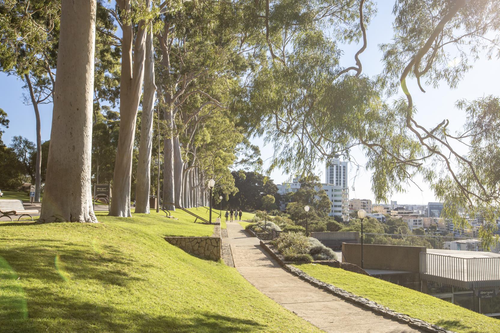 View of Kings Park