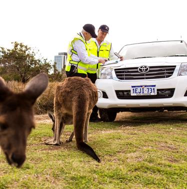 Two kangaroos next to two police officers