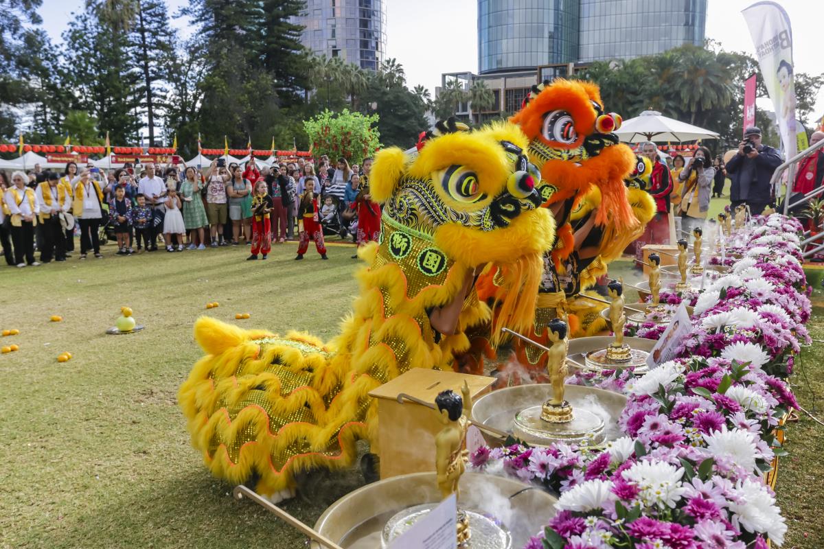 Lion dance at Buddah's Birthday Festival