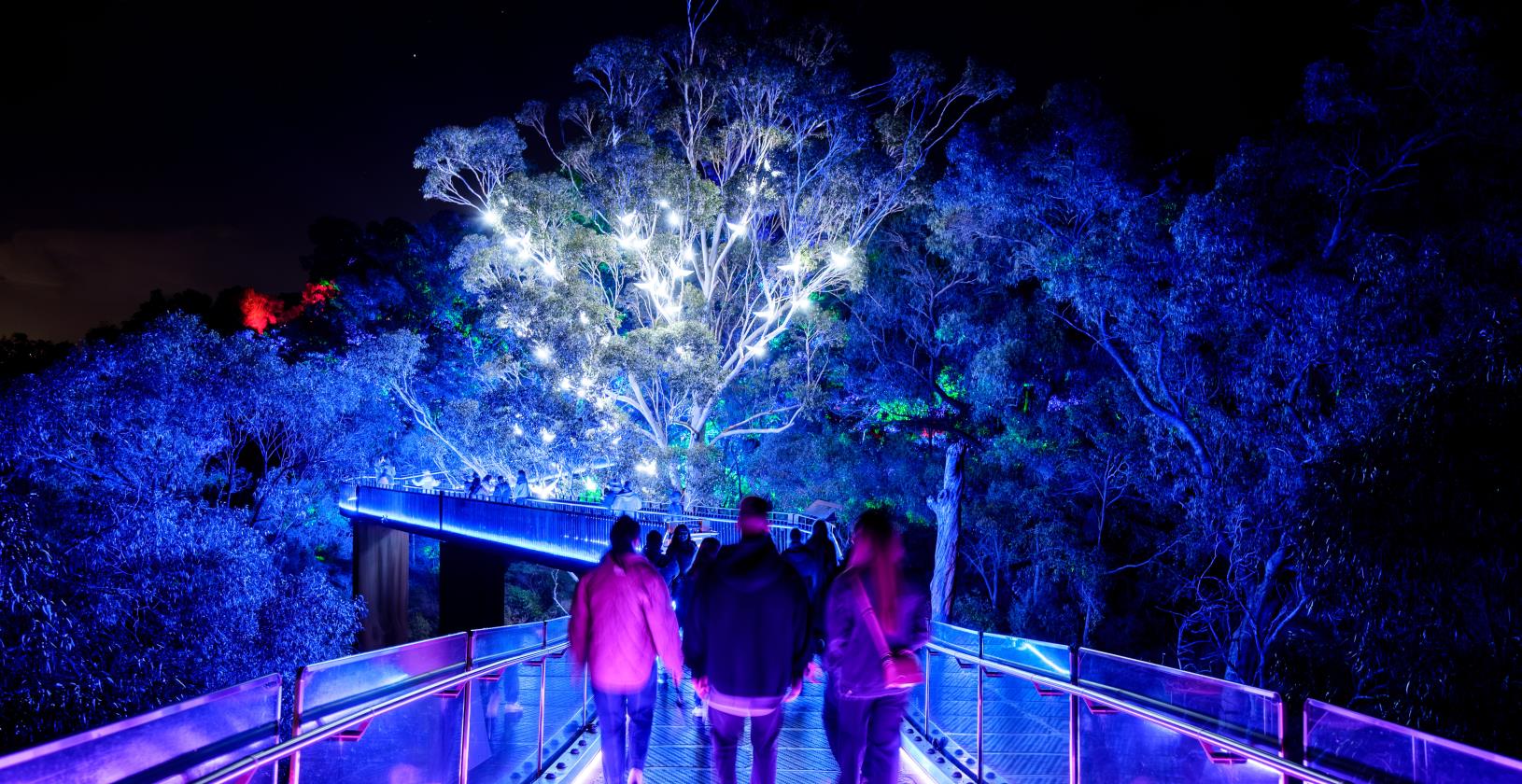 Lightscape - powered by the City of Perth returns this June