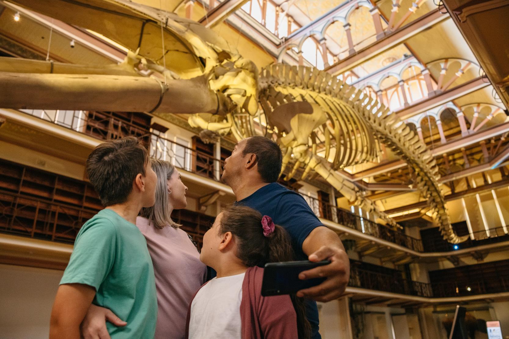 family looking at dinosaurs